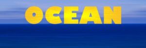 OCEAN logo